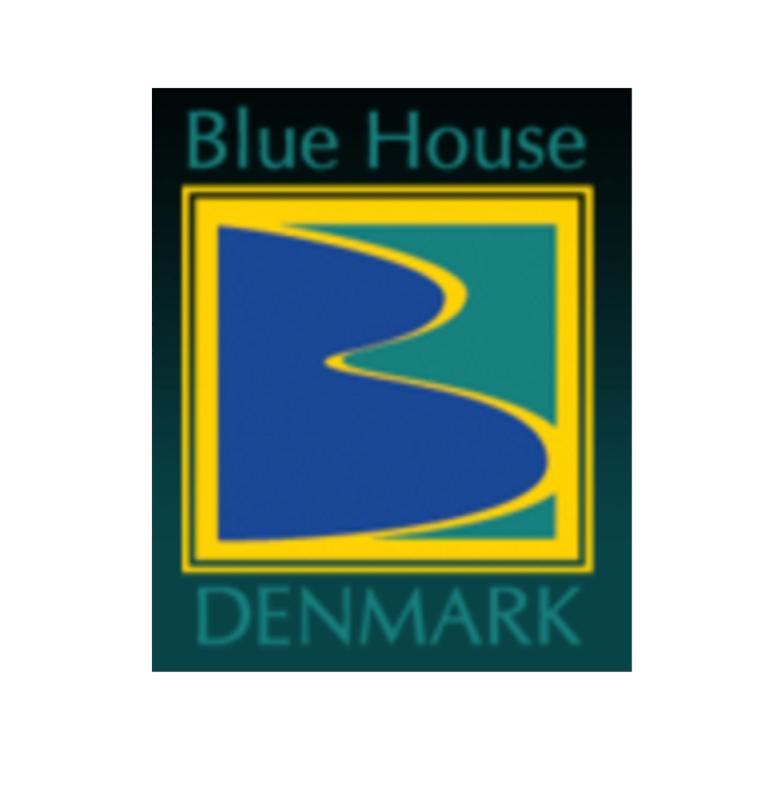 Blue House Denmark Villa Ngoại thất bức ảnh